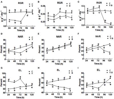 Transformation of Endophytic Bipolaris spp. Into Biotrophic Pathogen Under Auxin Cross-Talk With Brassinosteroids and Abscisic Acid